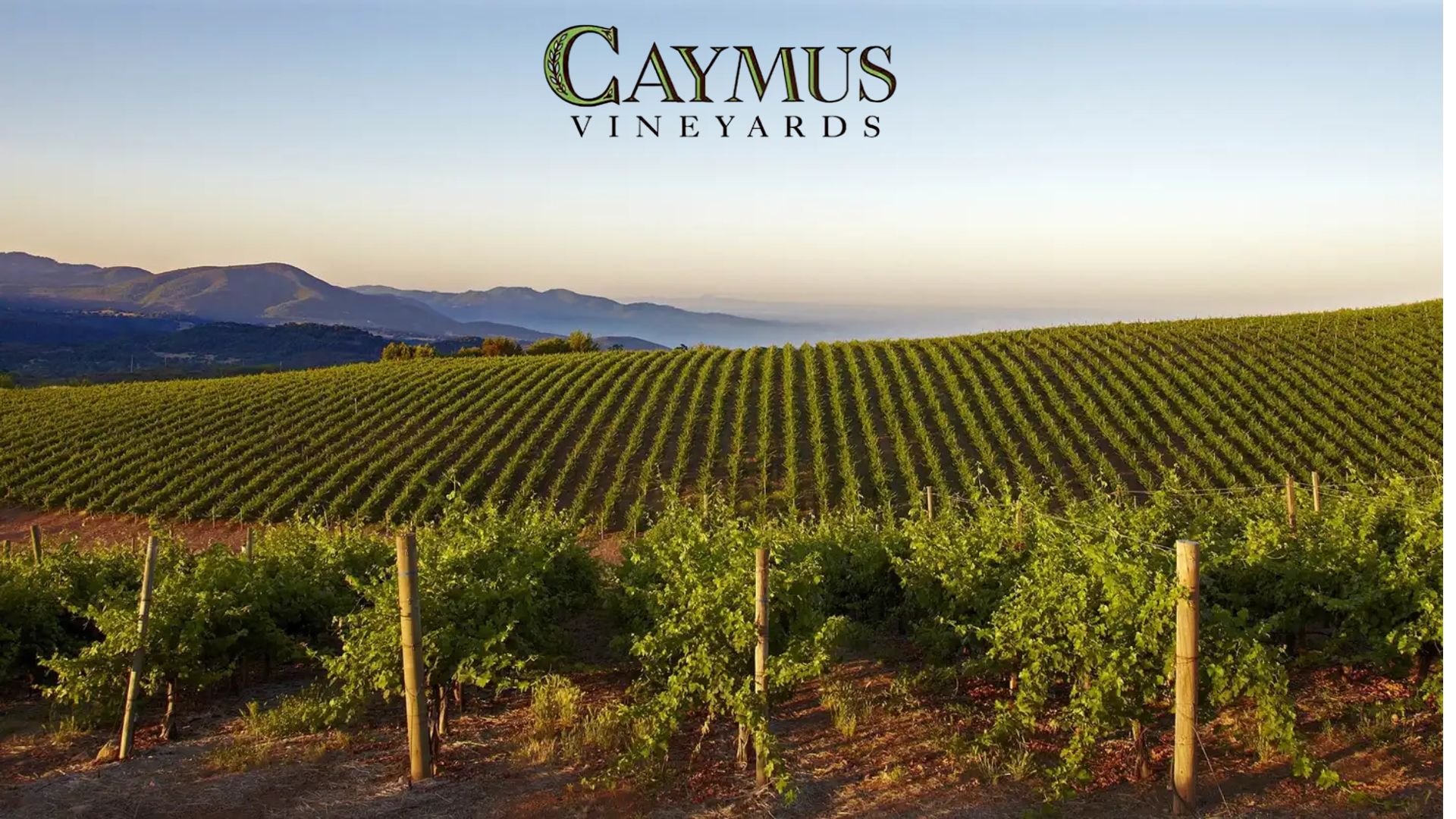 caymus vinyards